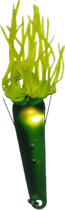 Regualar Snakie Spoon Weedless -  shown in Chartreuse
